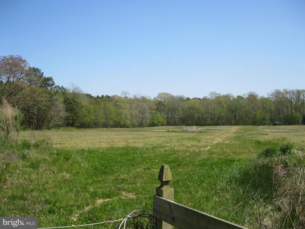 Lot 1 Bird Hill Road Girdletree, MD 21829 - Photo 8 of 8 Gallery Image 8