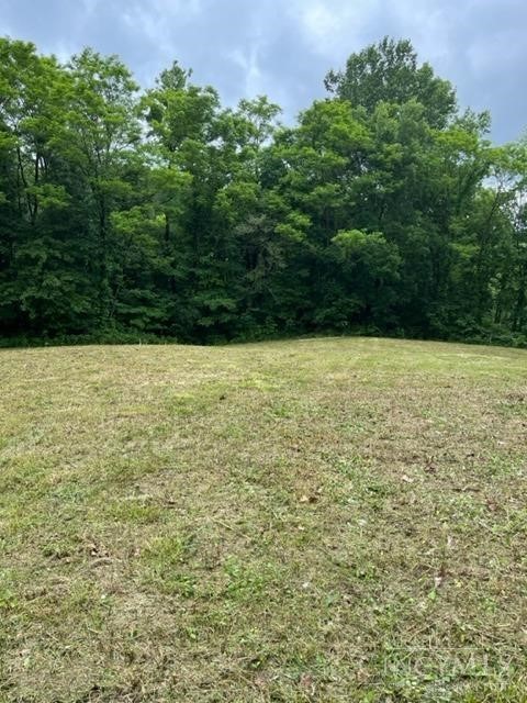 Lot #1 Middleboro Road Morrow, OH 45152 - Photo 6 of 14