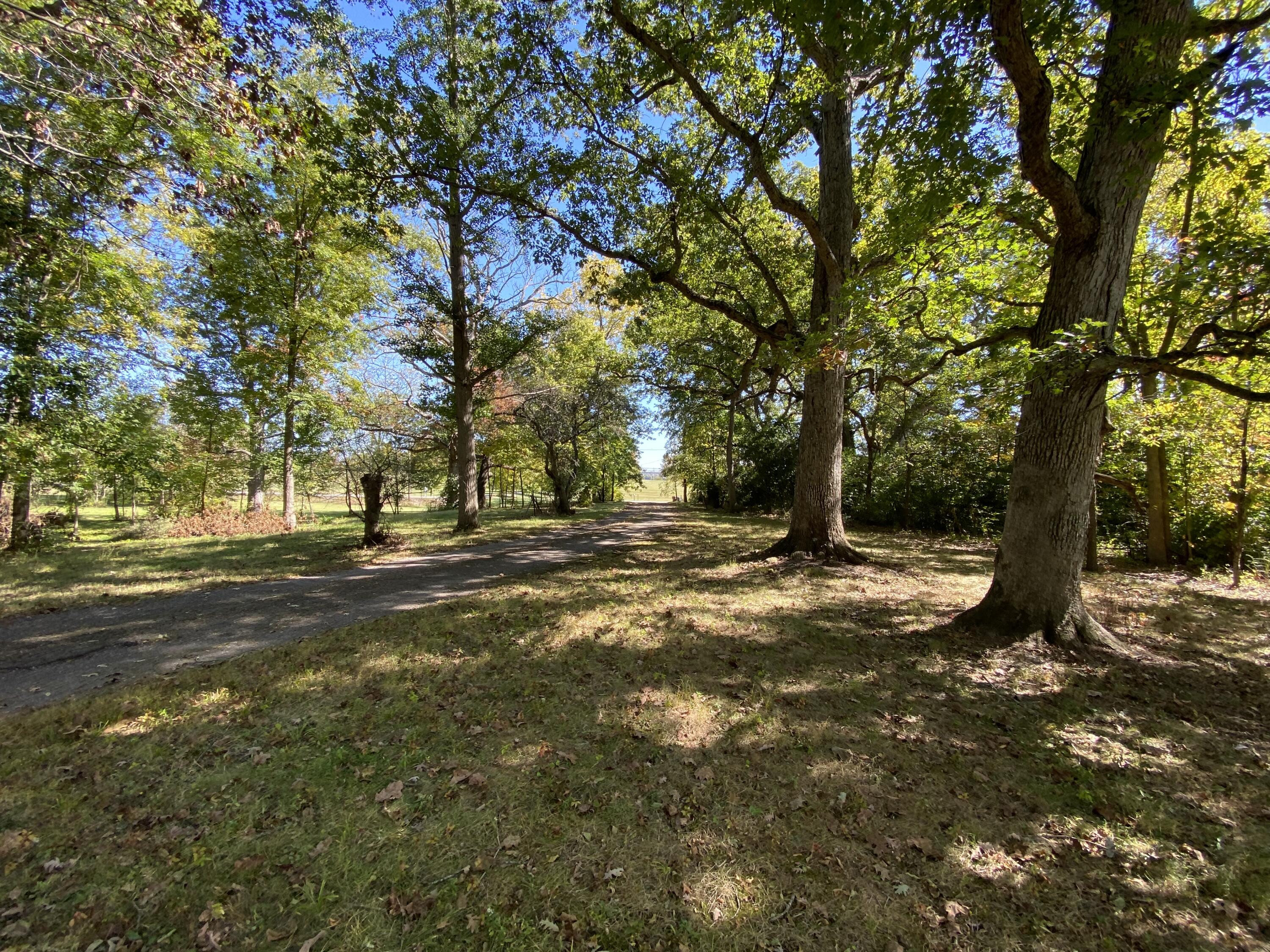 345 South Bird Road Springfield, OH 45505 - Photo 6 of 12
