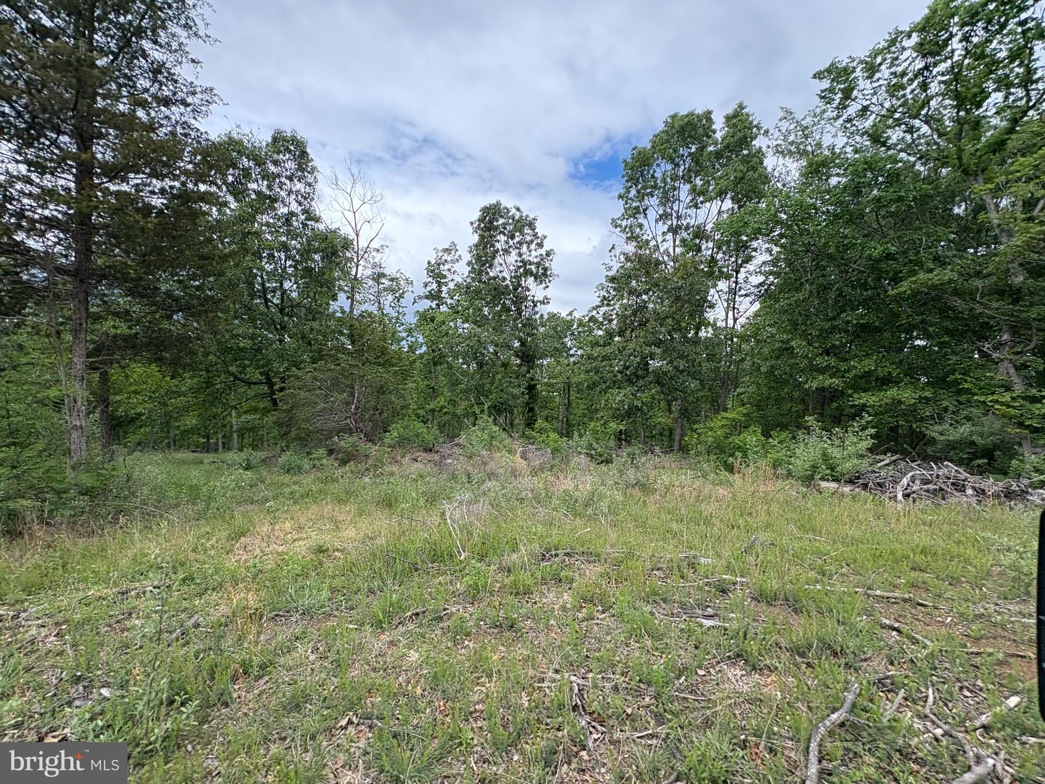 40.15-ac Middle Ridge Road Burlington, WV 26710 - Photo 5 of 47