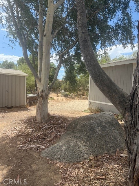 24260 Minton Road Homeland, CA 92548 - Photo 20 of 23 a view of a yard with a tree