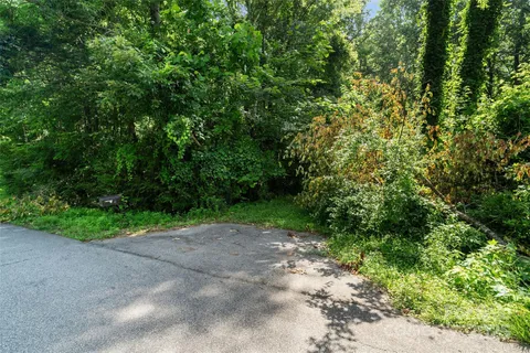 a view of outdoor space and trees