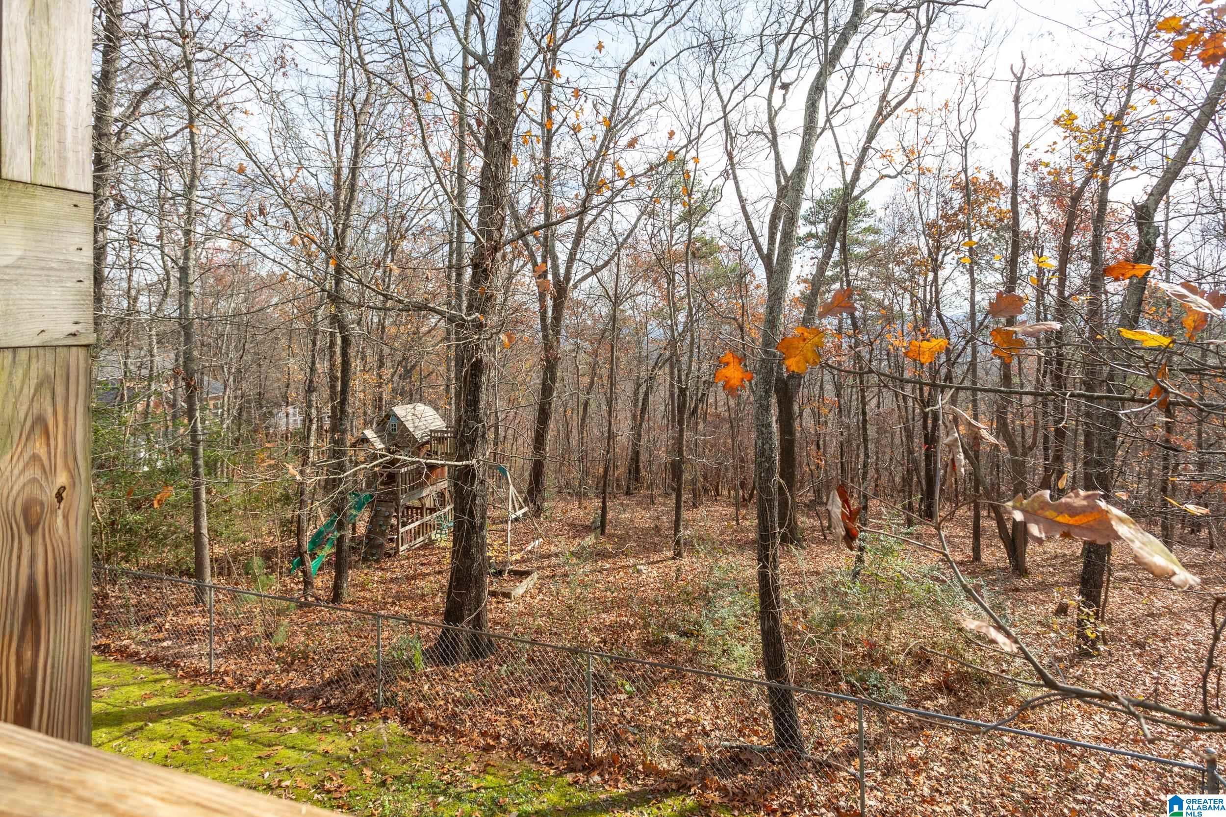 403 Laurel Springs Road Anniston, AL 36207 - Photo 34 of 36