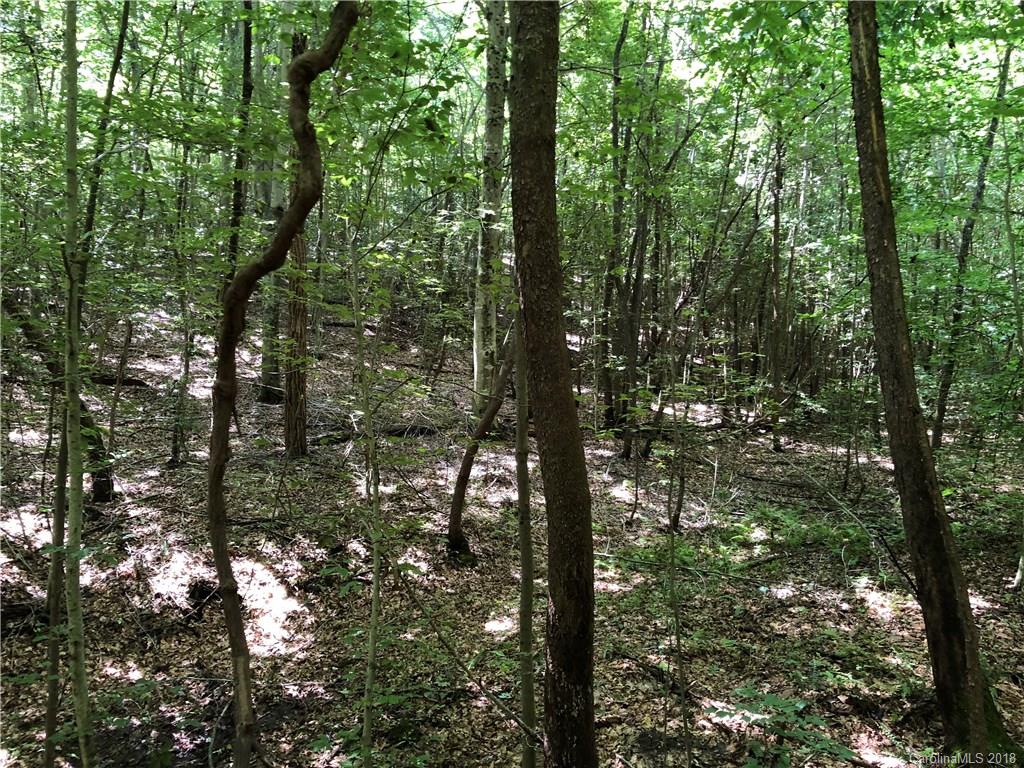 1 Coolbrook Road Union Grove, NC 28689 - Photo 8 of 19