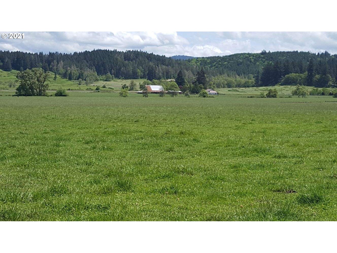83260 Rattlesnake Road Dexter, OR 97431 - Photo 5 of 6