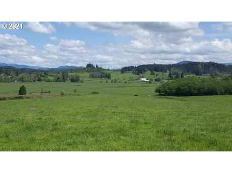 83260 Rattlesnake Road Dexter, OR 97431 - Photo 6 of 6