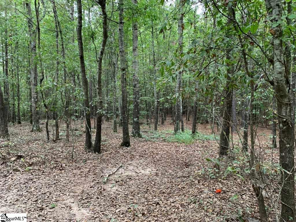 353 Roanoke Road Liberty, SC 29657 - Photo 22 of 31