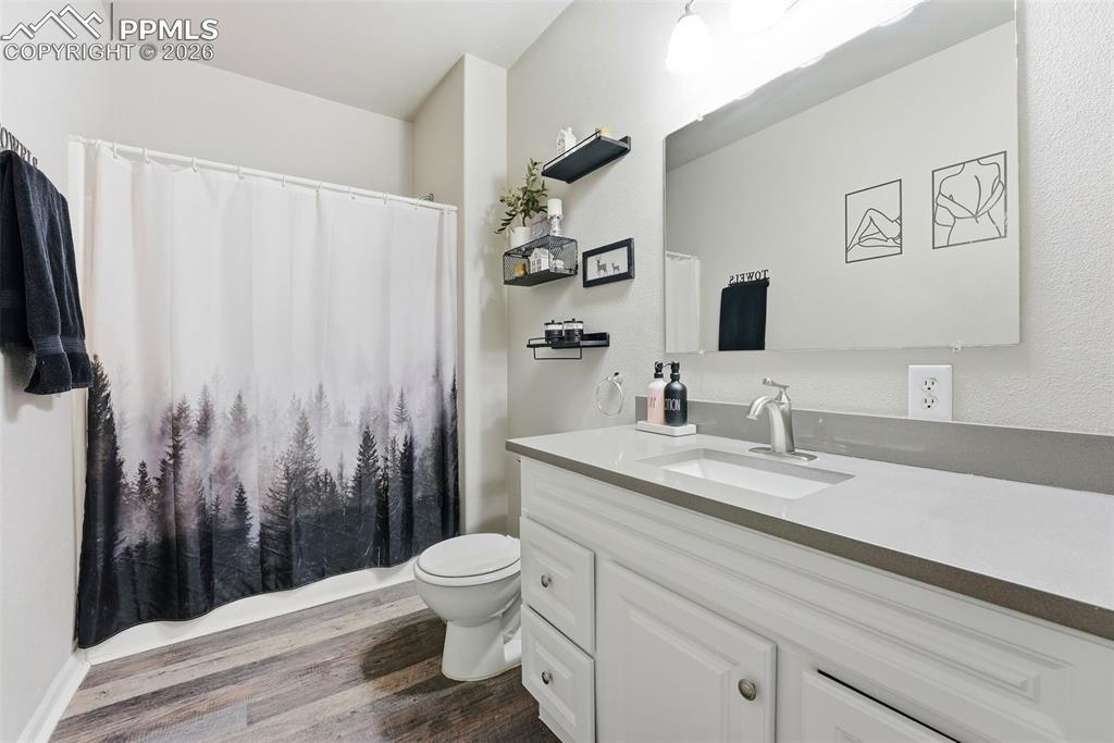 6535 Gelbvieh Road Peyton, CO 80831 - Photo 16 of 41 Bathroom featuring vanity and dark wood finished floors