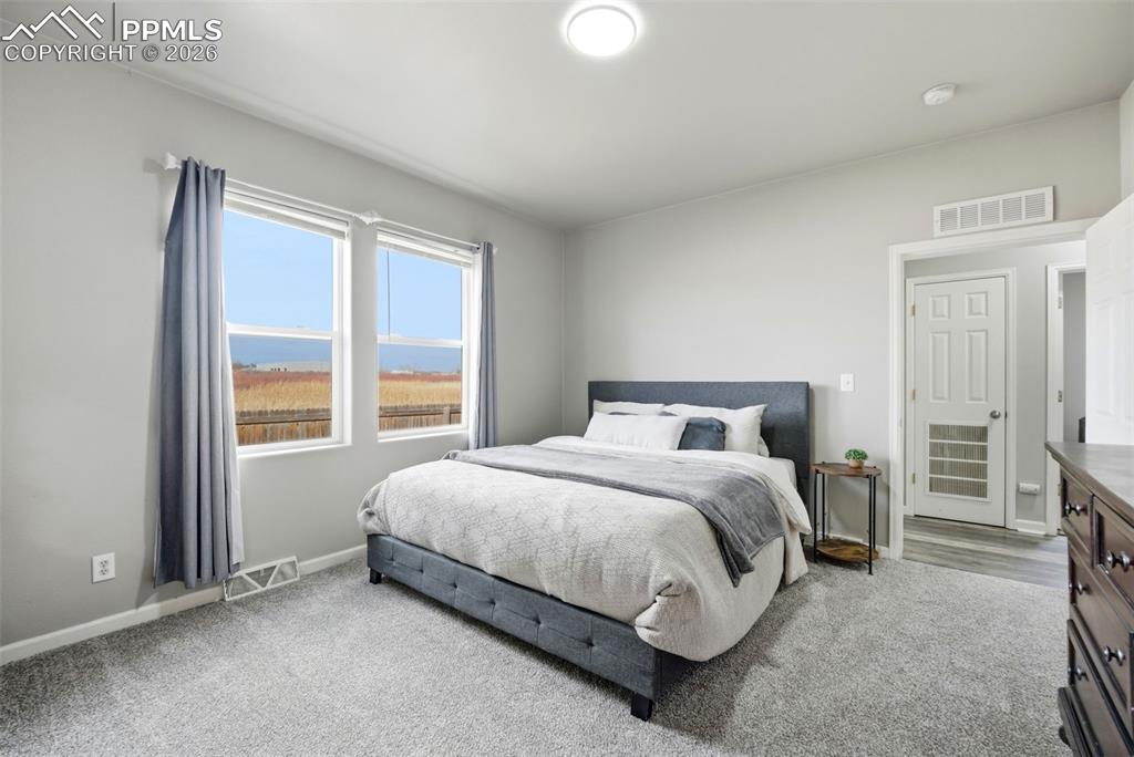 6535 Gelbvieh Road Peyton, CO 80831 - Photo 19 of 41 Bedroom with carpet floors and baseboards
