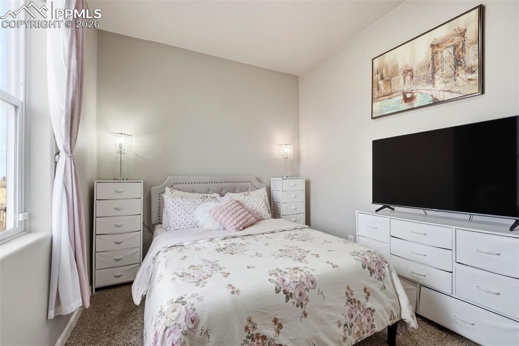 6535 Gelbvieh Road Peyton, CO 80831 - Photo 23 of 41 Bedroom with dark carpet