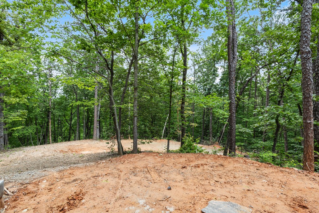 43 Old Federal Road Ellijay, GA 30540 - Photo 18 of 49