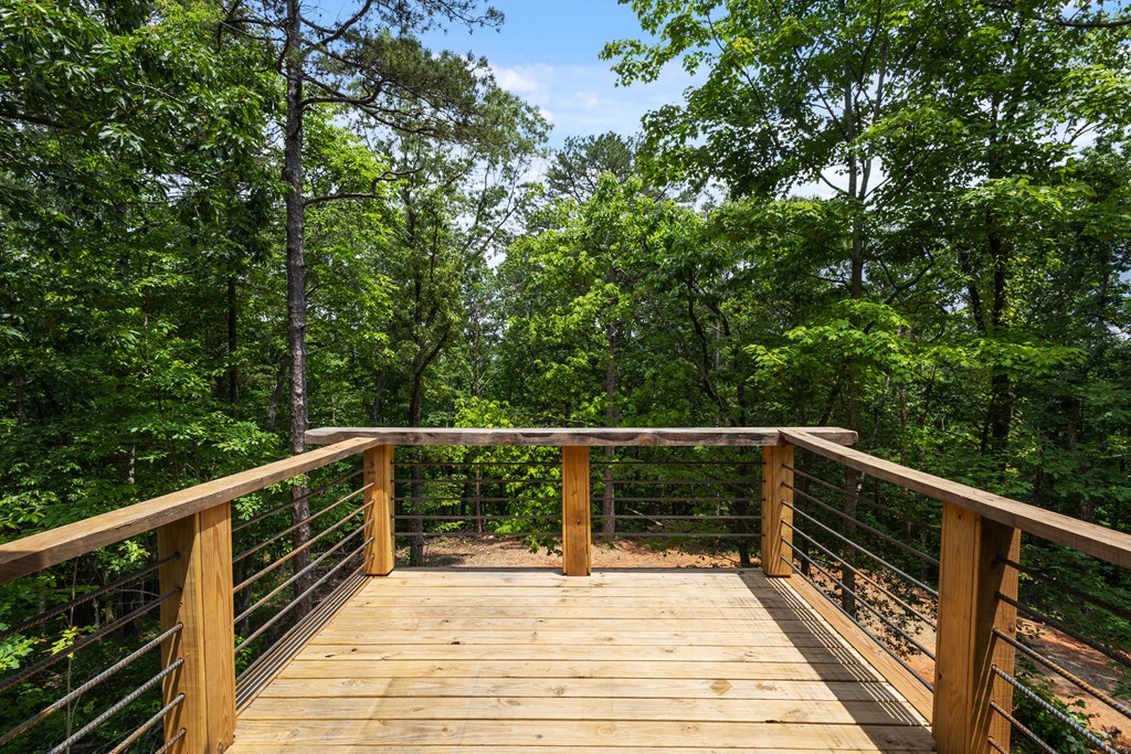 43 Old Federal Road Ellijay, GA 30540 - Photo 35 of 49