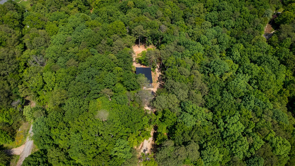 43 Old Federal Road Ellijay, GA 30540 - Photo 4 of 49