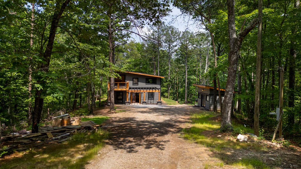 43 Old Federal Road Ellijay, GA 30540 - Photo 7 of 49