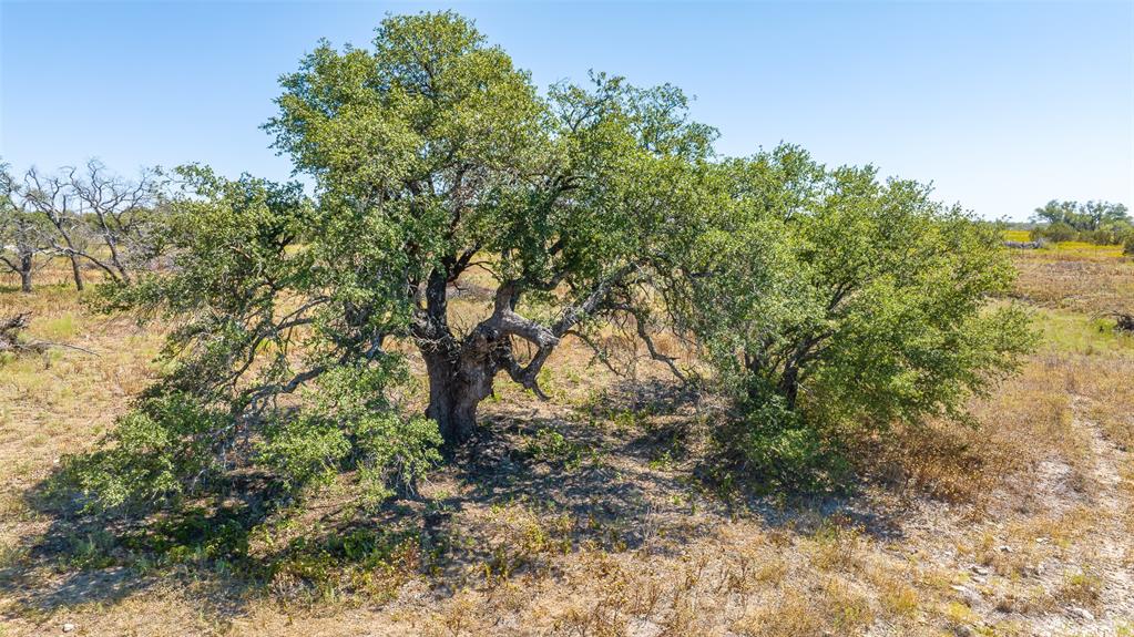Tbd Buffalo Ridge Road Stephenville, TX 76401 - Photo 17 of 21