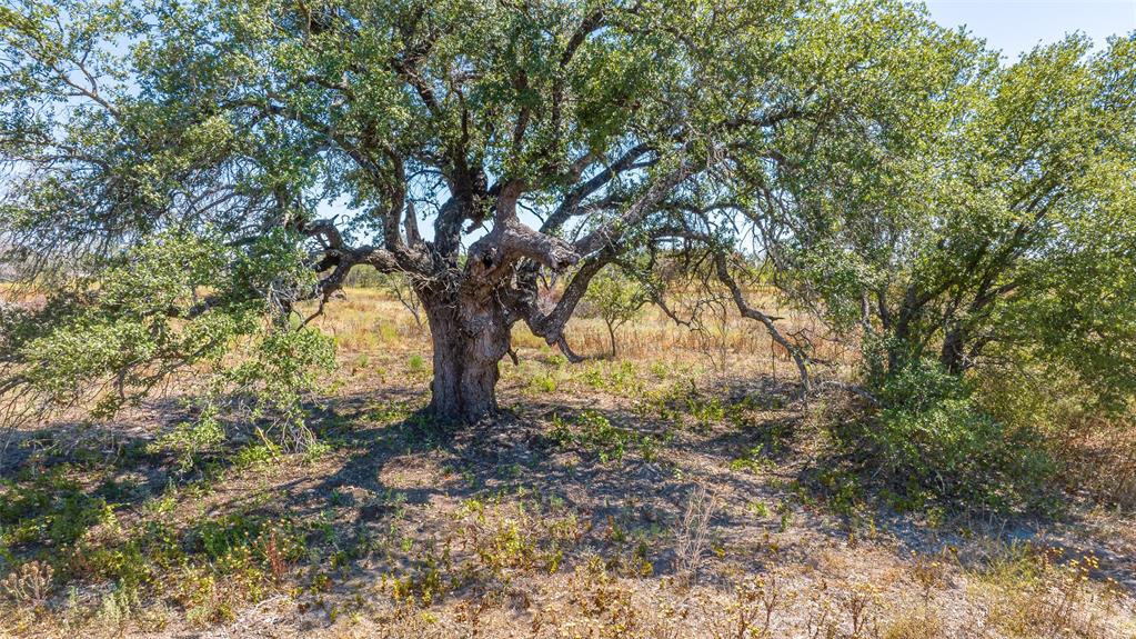Tbd Buffalo Ridge Road Stephenville, TX 76401 - Photo 18 of 21
