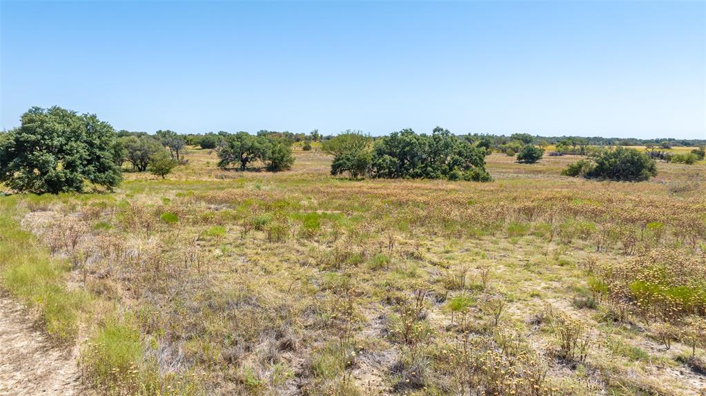 Tbd Buffalo Ridge Road Stephenville, TX 76401 - Photo 21 of 21