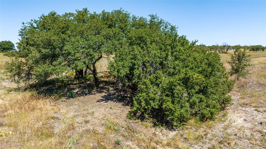 Tbd Buffalo Ridge Road Stephenville, TX 76401 - Photo 9 of 21