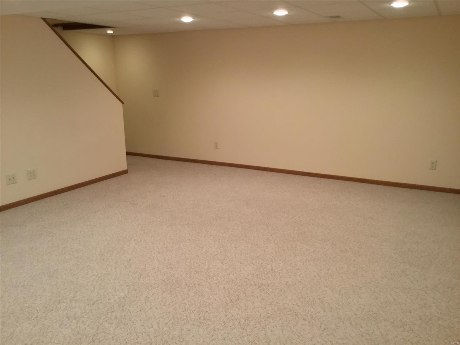 926 Long Branch Road Troy, IL 62294 - Photo 14 of 27 Gallery Image 14