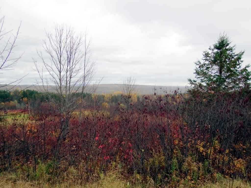 Lot 16 Rte 11 Patten, ME 04765 - Photo 17 of 32 patten-me-land-zannini-5