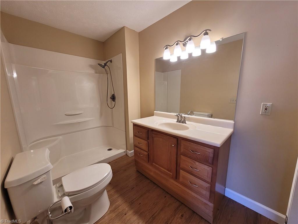 730 Blue Hollow Road Mount Airy, NC 27030 - Photo 20 of 35 Primary Bathroom