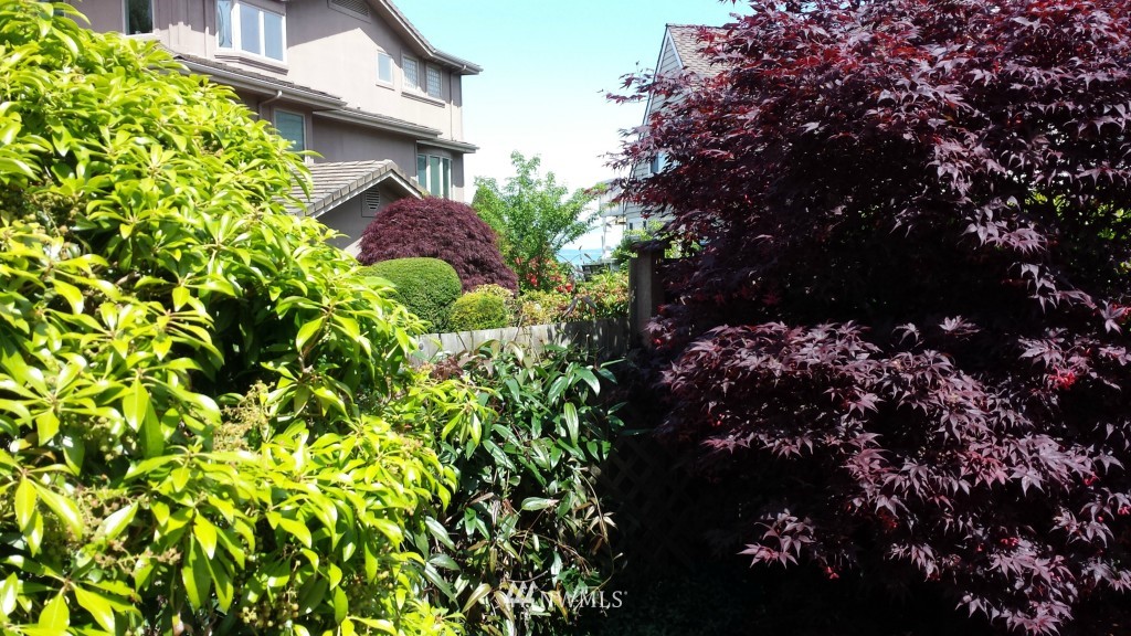 5340 Southwest Lander Street Seattle, WA 98116 - Photo 17 of 17 Gallery Image 17