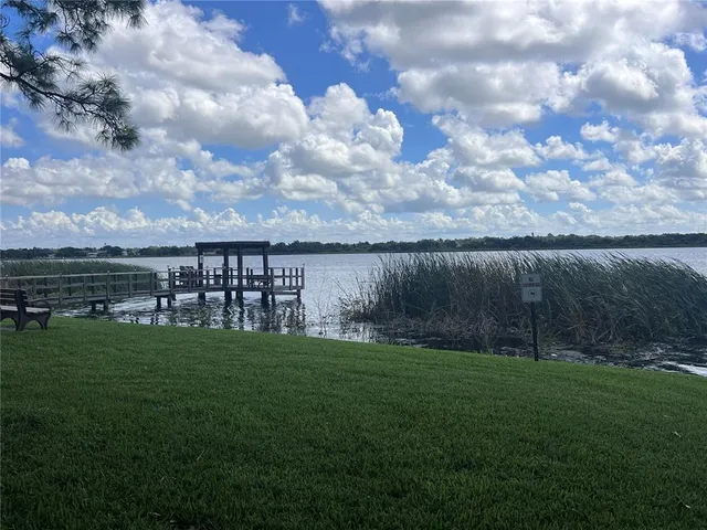 a view of a garden with a tree
