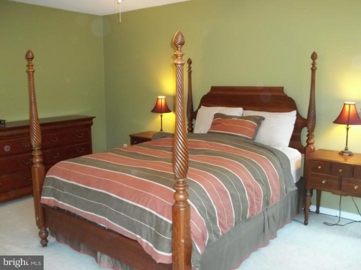 54 Abrams Court Chesterbrook, PA 19087 - Photo 13 of 24 Master Bedroom