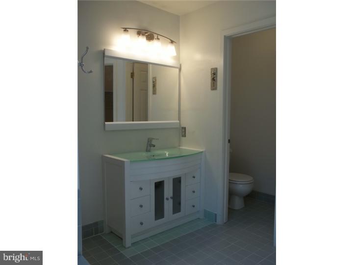 54 Abrams Court Chesterbrook, PA 19087 - Photo 15 of 24 Master Bathroom