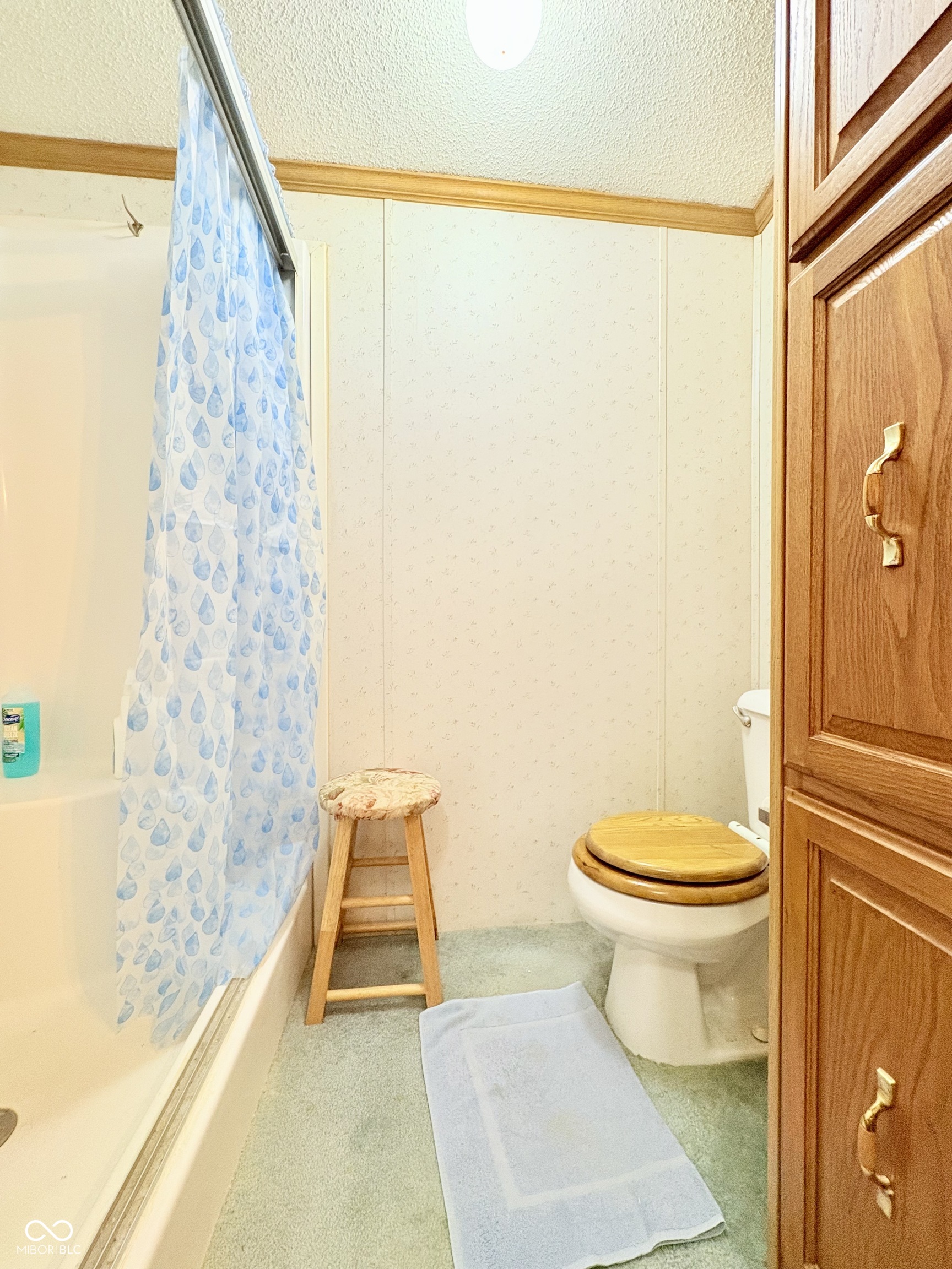 261 Down Boy Way Cloverdale, IN 46120 - Photo 17 of 22