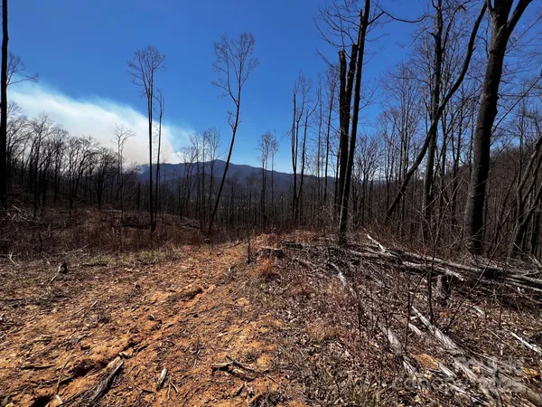 $345,000 | 0 Rocky Face Drive, Unit RF2, Canton, NC 28716