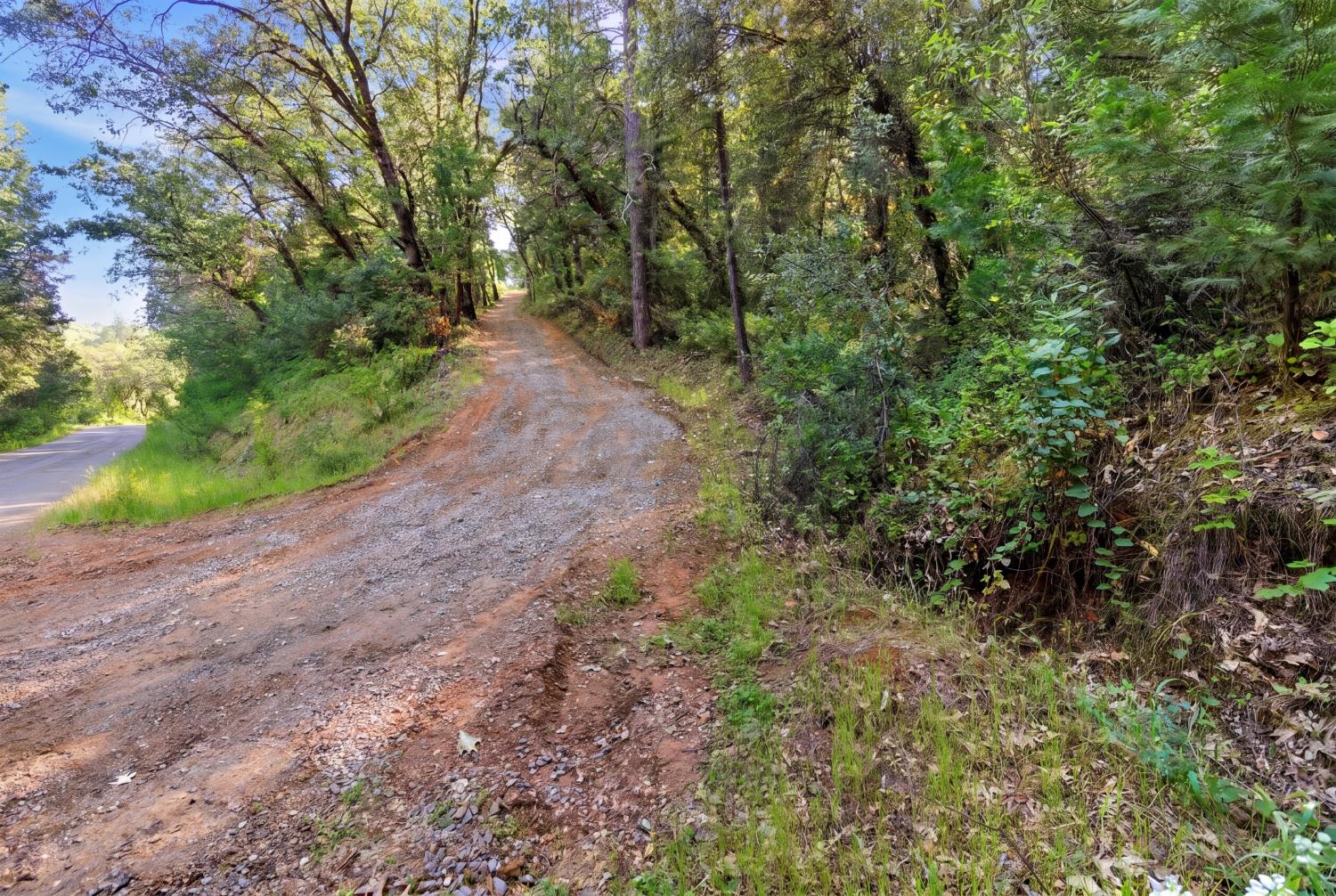 16429 Vierra Road Rackerby, CA 95972 - Photo 3 of 18