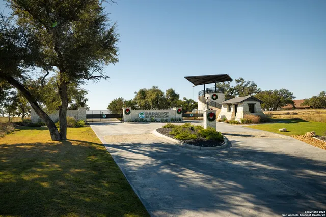a view of a yard with large trees