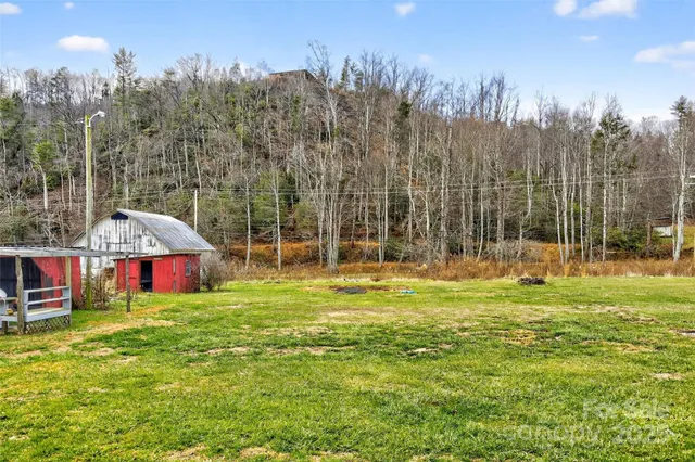 a view of a park with large trees and wooden fence