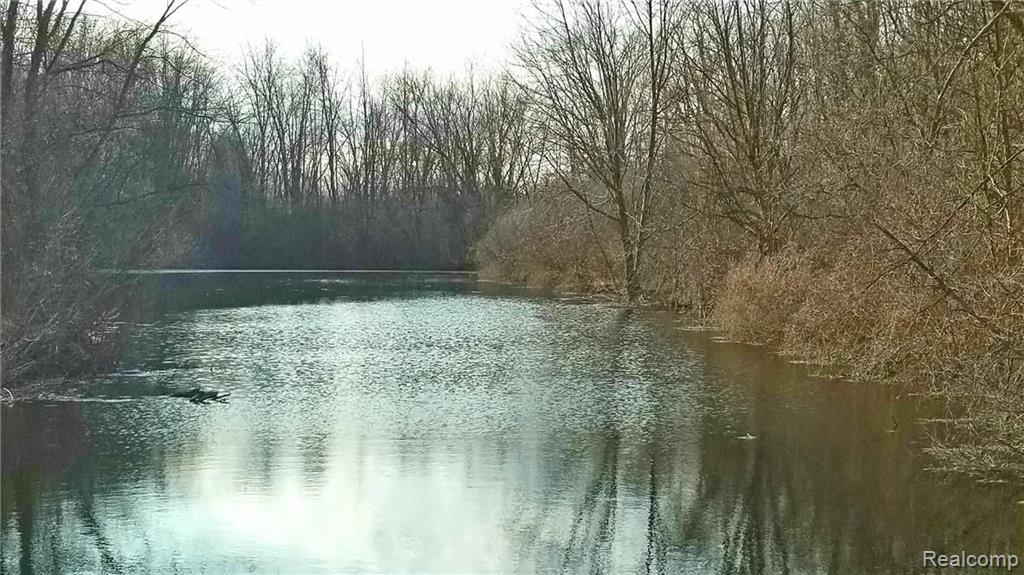 8991 Earhart Road South Lyon, MI 48178 - Photo 4 of 29 Gallery Image 4