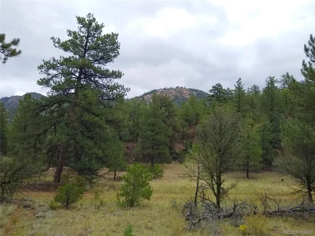 $125,000 | 0 Gold Pan Trail, Cotopaxi, CO 81223