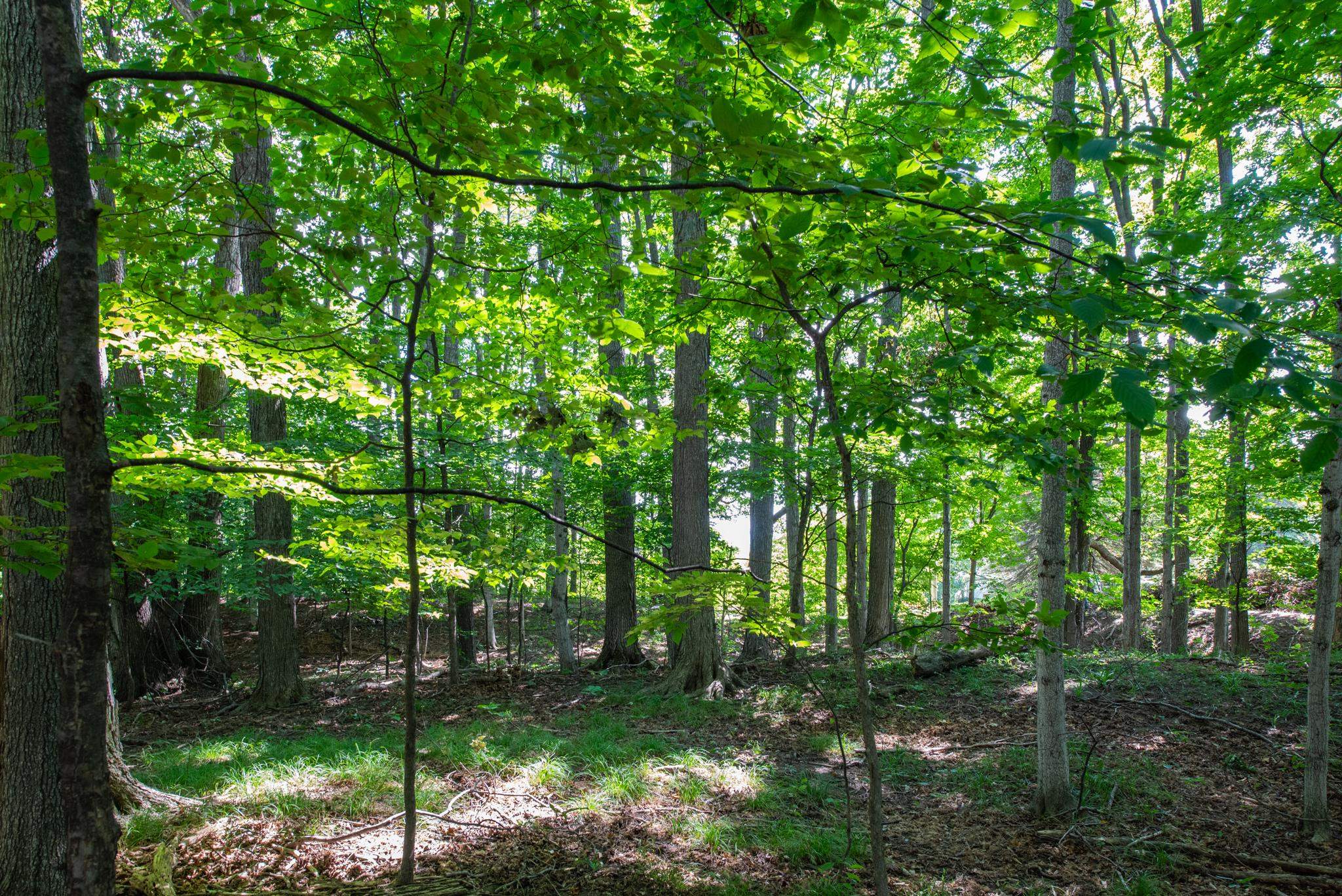 3300 Zimmerman Road Traverse City, MI 49685 - Photo 16 of 36