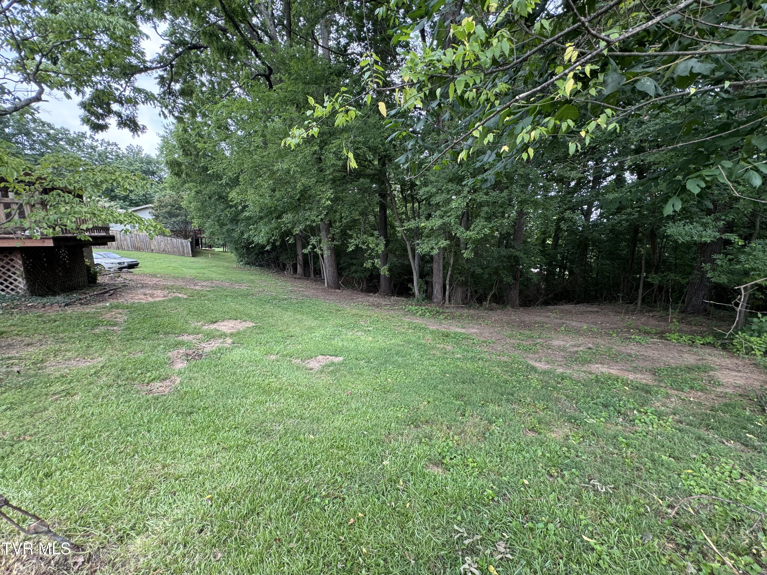 732 Greenbriar Road Talbott, TN 37877 - Photo 5 of 21 IMG_6295