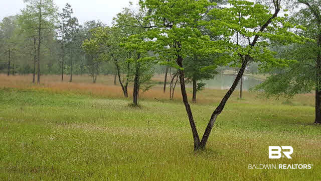 0 Roberts Road Chunchula, AL 36521 - Photo 2 of 7