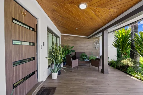 a potted plant sitting in front of a house