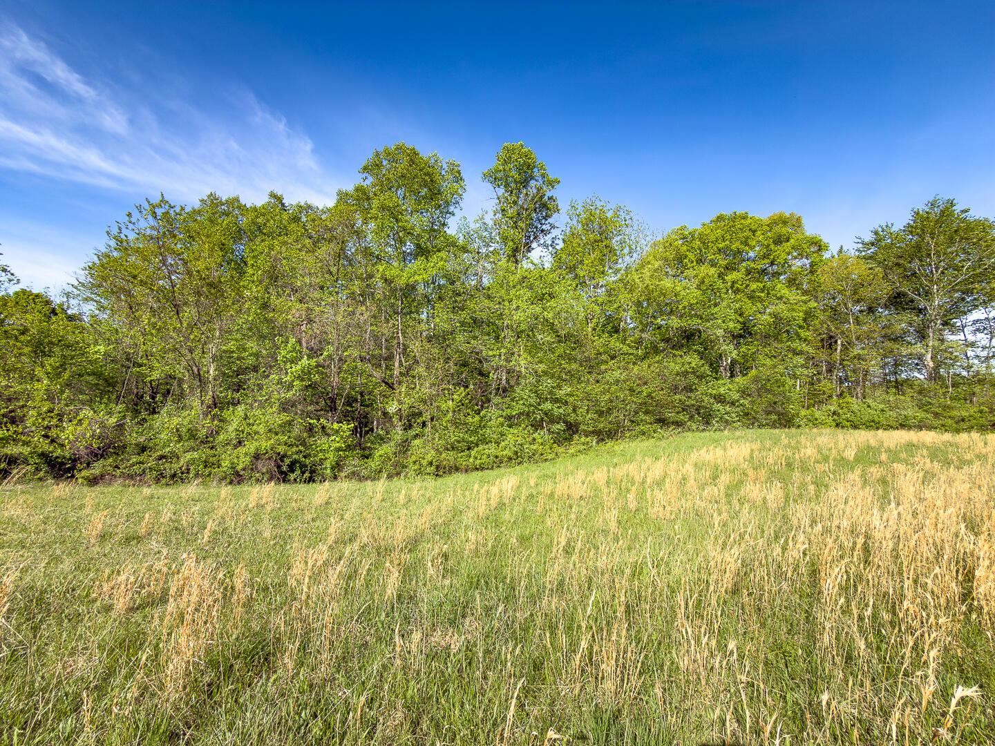 1 Perry Ridge Road Wilkesville, OH 45695 - Photo 10 of 19 Perry Ridge Rd Tract 1-6