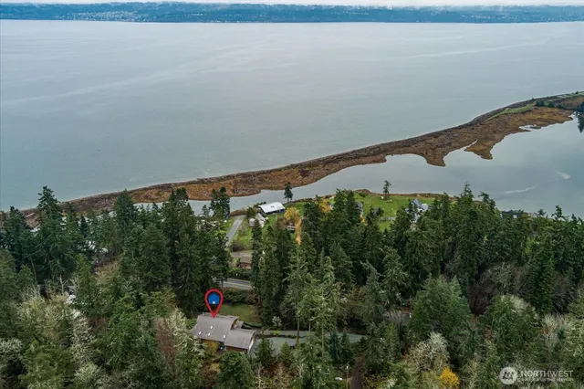 a backyard of a house with lots of green space and trees