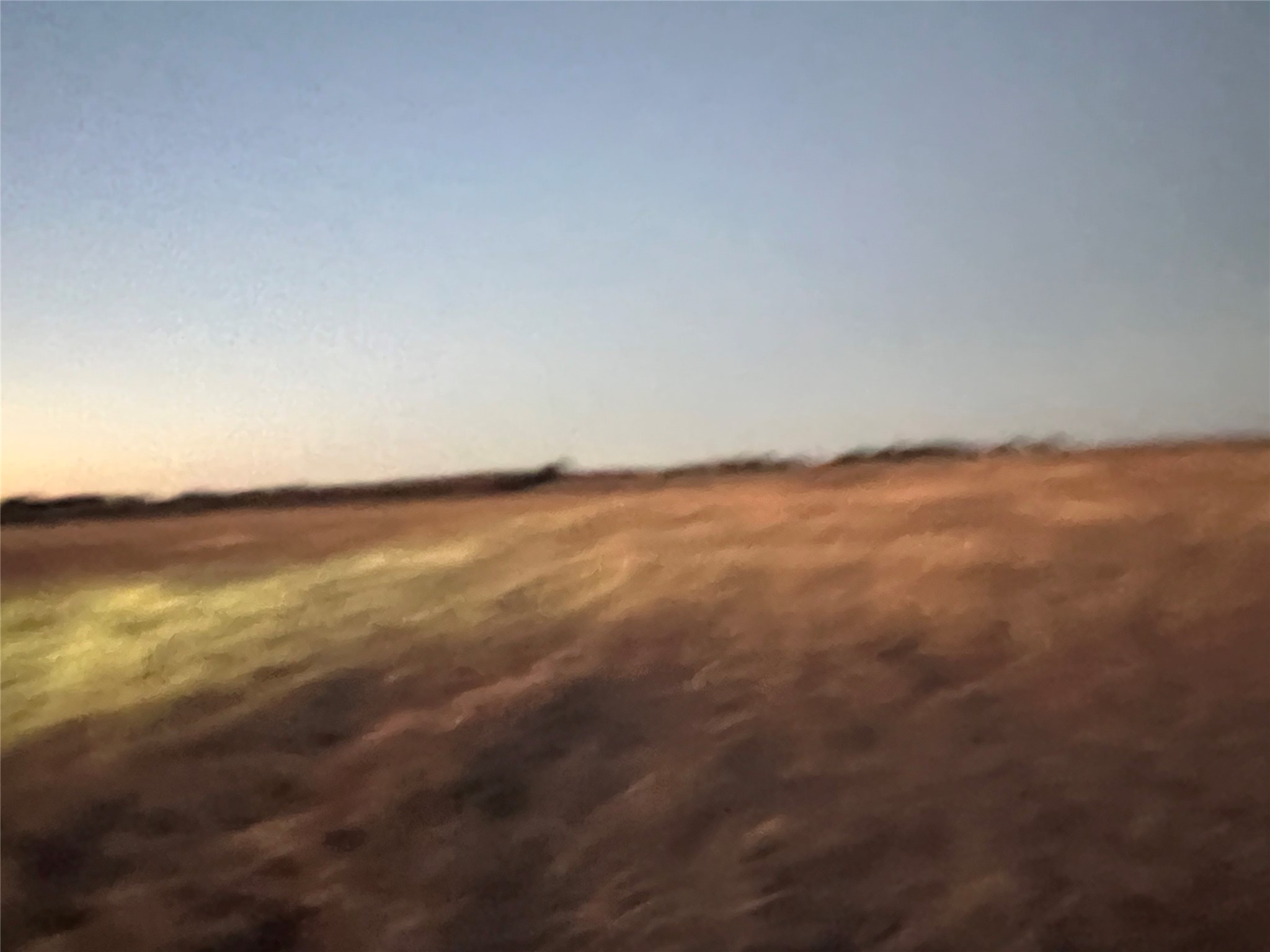 12282 East Travis Road Holland, TX 76534 - Photo 5 of 8