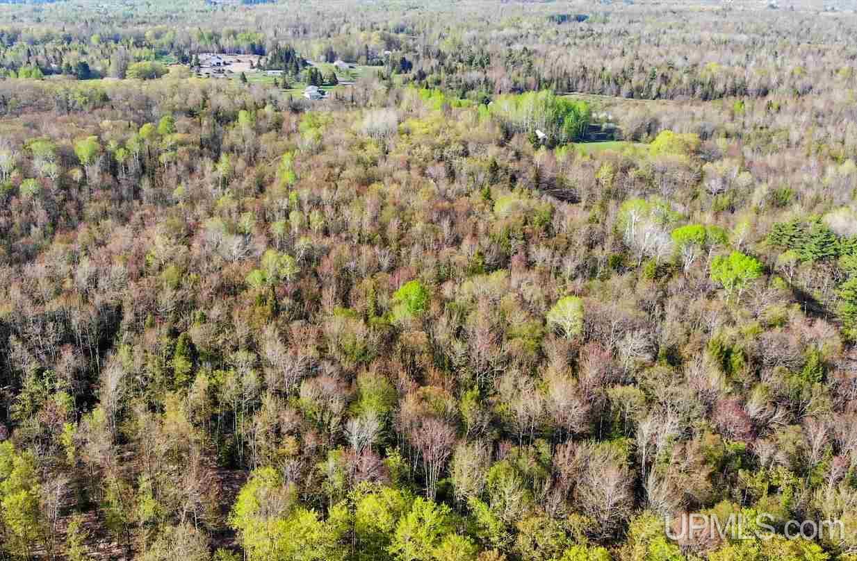 Tbd Rauhala Road, Unit PARCEL 3 Atlantic Mine, MI 49931 - Photo 6 of 19
