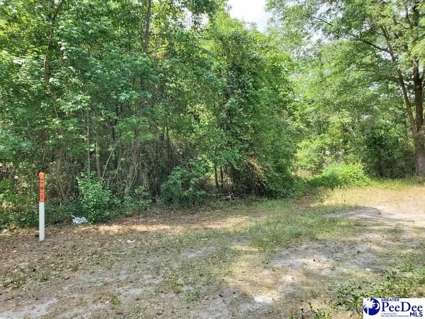 Tbd R Bar M Ranch Road Florence, SC 29501 - Photo 1 of 1 Gallery Image 1