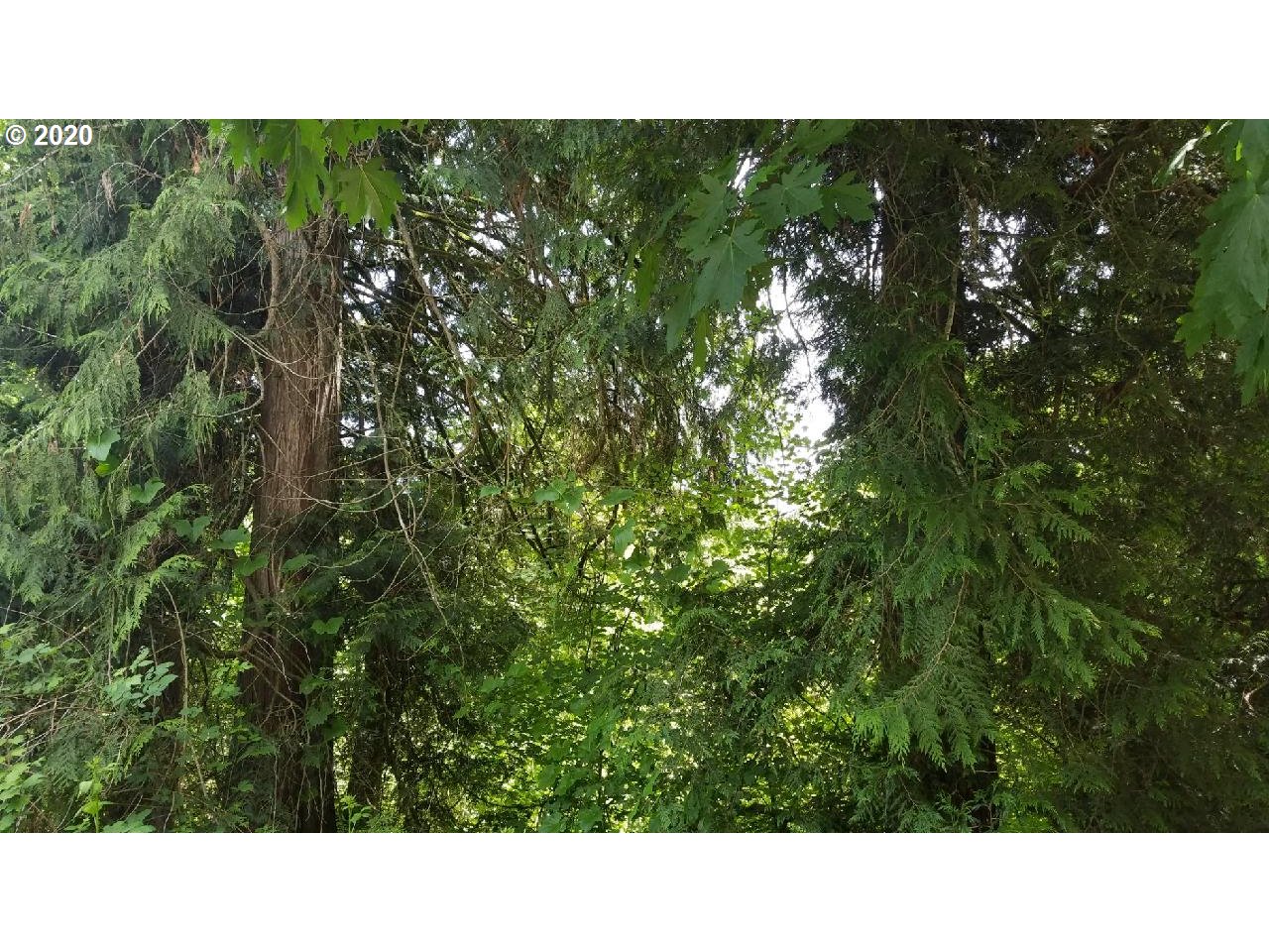 Wonderly Road Rainier, OR 97048 - Photo 2 of 12