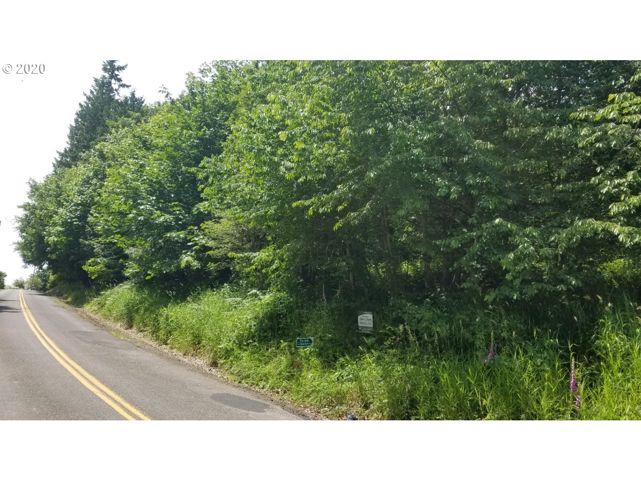 Wonderly Road Rainier, OR 97048 - Photo 3 of 12
