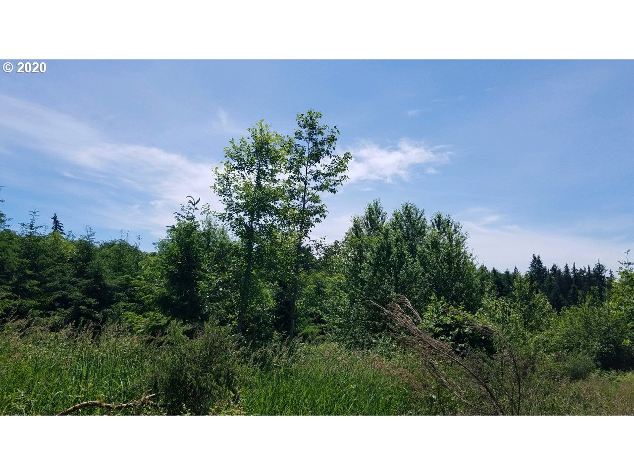 Wonderly Road Rainier, OR 97048 - Photo 4 of 12