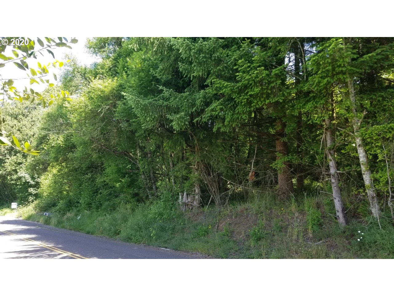 Wonderly Road Rainier, OR 97048 - Photo 5 of 12