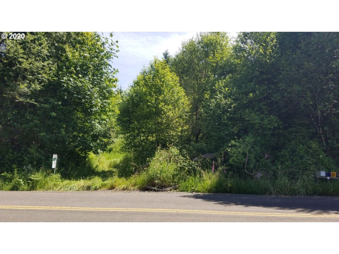 Wonderly Road Rainier, OR 97048 - Photo 6 of 12